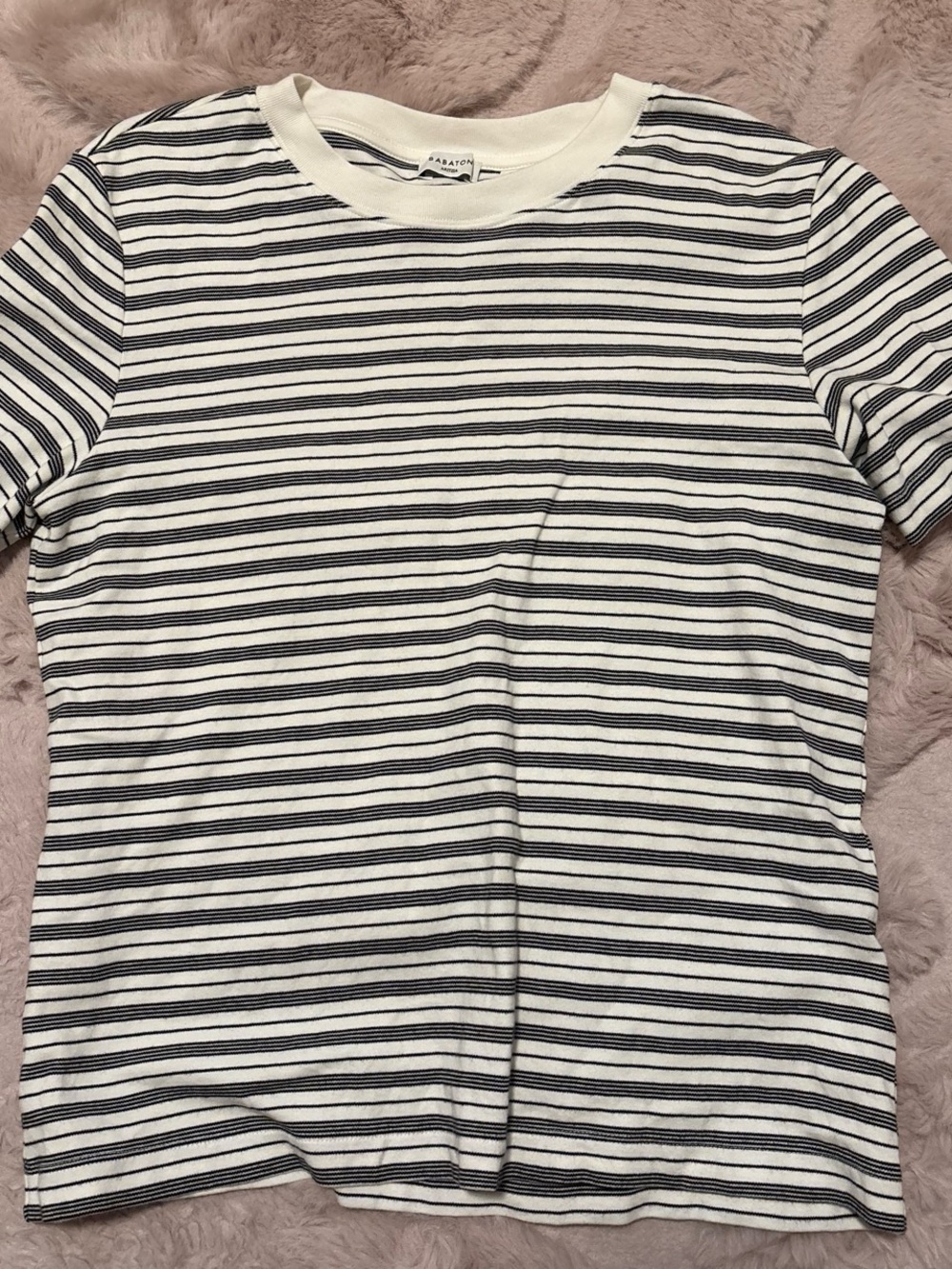 Aritzia Short Sleeve Crewneck Stripe Tee in White and Black